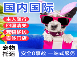 朔州航空快运国际宠物托运 【国